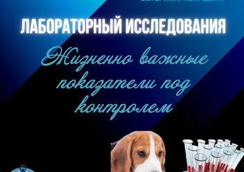 Фото компании ООО Мокрый нос 2