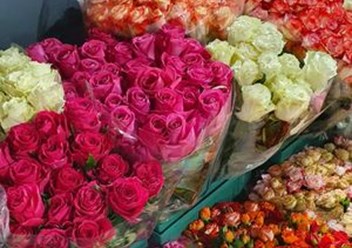 Фото компании  Первый цветочный оптовый 4