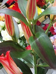 Фото компании  Без посредников 96 7