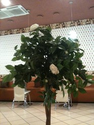 Фото компании  Комильфо 1