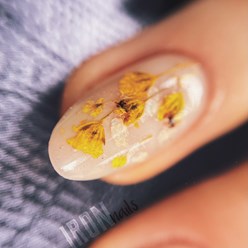 Укрепление и аквариумный дизайн