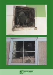 Фото компании ИП Биосфера 4