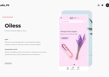 Портфолио