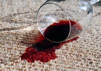 Фото компании ИП Старков Сергей Николаевич ХИМЧИСТКА НА ДОМУ 1