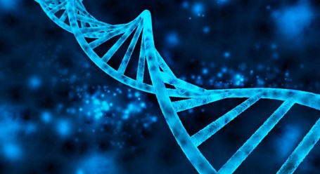 Генетическая экспертиза, ДНК тест, установление отцовства Старый Оскол