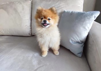 Фото компании ООО Крым Мебель 6