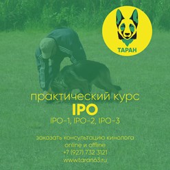 Фото компании  Кинологический центр "Таран" 4