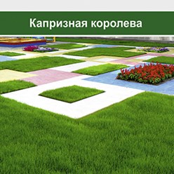 Фото компании  Зеленая лужайка 4