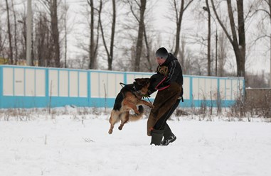 Фото компании  KARVIDEAN 5