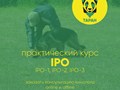 Фото компании  Кинологический центр "Таран" 4