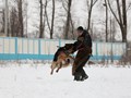 Фото компании  KARVIDEAN 5