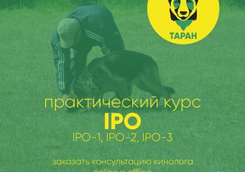 Фото компании  Кинологический центр "Таран" 4