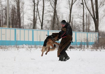 Фото компании  KARVIDEAN 5