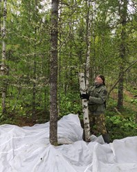Фото компании  Филиал федерального бюджетного учреждения "Российский центр защиты леса" - "Центр защиты леса Новосибирской области" 9