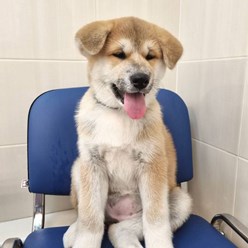 Фото компании  Веда 20