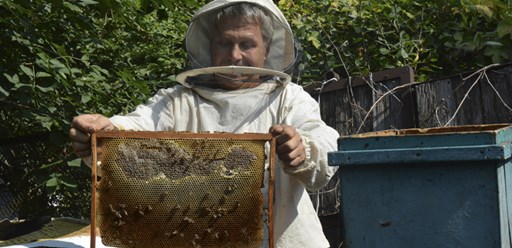 Фото компании ООО Кубанская Пасека 3