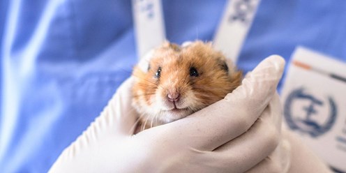 Фото компании  ВетДом 8