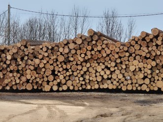 Фото компании ООО «Лестехстрой» 63