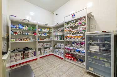 Фото компании  Манол 9