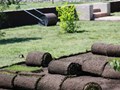 Фото компании Ландшафтная компания Благоюг 5