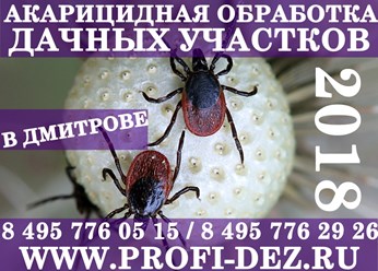 Фото компании ООО Профи - Дез 27