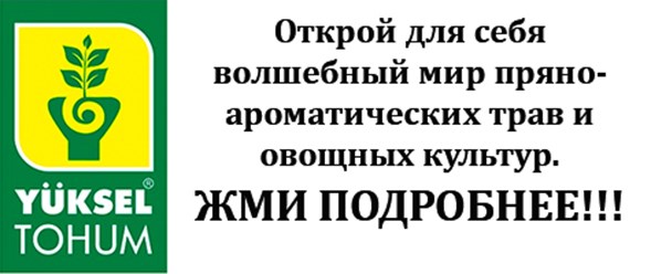 Исследовательский и научно-селекционный центр Турции - мировой производитель семян пряно-ароматических трав и овощных культур экстра качества