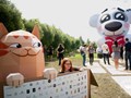 Фото компании ИП Мастерская Картонщик 2