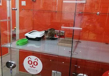 Фото компании  BookingCat 2