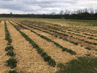 Фото компании ООО Заур и К 23