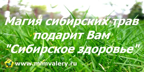 Фото компании ИП «Магия сибирских трав – Сибирское здоровье». 1