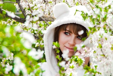 Фото компании ИП Шамро фото 2