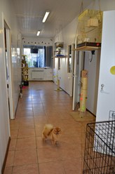 Фото компании ООО ЗооОтель Лемур 3