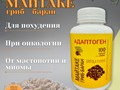 Майтаке в капсулах: «танцующий гриб» для баланса организма и иммунной поддержки