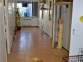 Фото компании ООО ЗооОтель Лемур 3