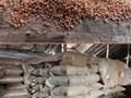 Вермикулит вспученный