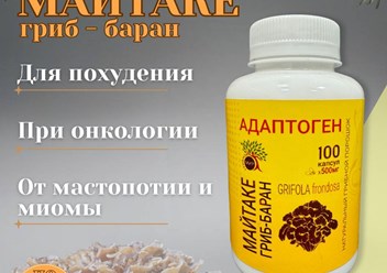 Майтаке в капсулах: «танцующий гриб» для баланса организма и иммунной поддержки