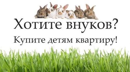 Фото компании ООО Бест Кампани 29