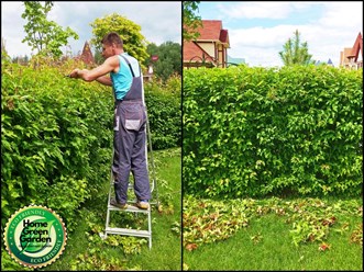 Фото компании  Ландшафтный дизайн Московской области | Home Green Garden 8