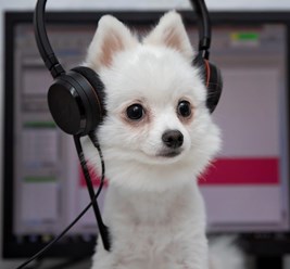 Фото компании ООО Кабинет ветеринарной медицины 59