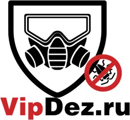 Уничтожение насекомых в Москве