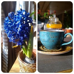 Фото компании  Дача, кафе-ресторан 16