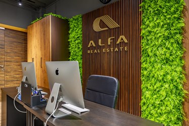 Фото компании  ALFA real estate 3