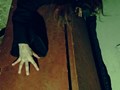Фото компании ООО Пандора 1