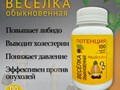 Веселка обыкновенная в капсулах: природная поддержка иммунитета и тонуса