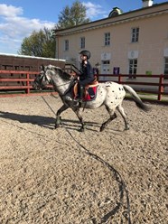 Фото компании ООО Конный Дом 3