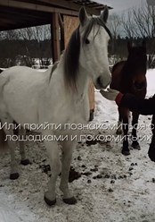 Фото компании  Aura glamp 7