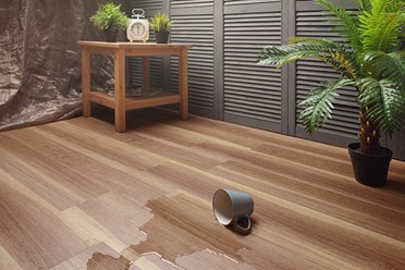 Фото компании  Pro Vinil 2