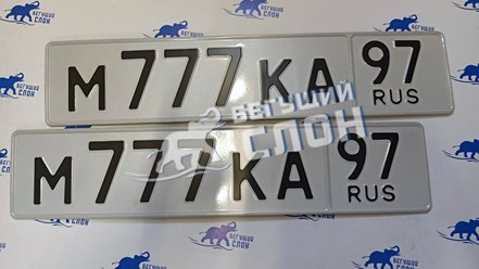 Фото компании ИП Бегущий Слон 13