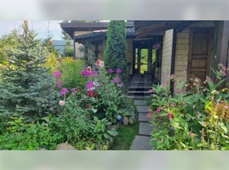 Фото компании  Деликатный пар 7