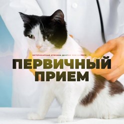 Фото компании  Доктор Пух 7